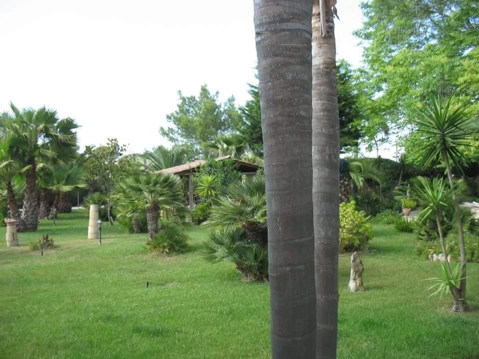 Villa Cecilia Matino Ngoại thất bức ảnh